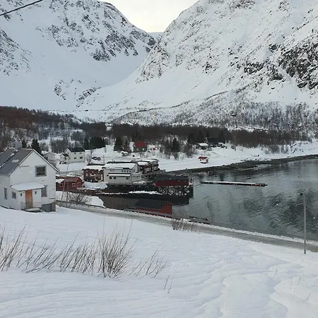 Lyngsalpan Feriehus Koppangen