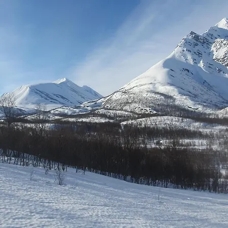 Lyngsalpan Feriehus Koppangen