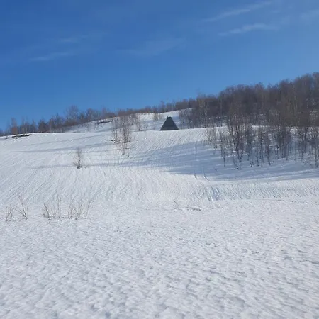 Lyngsalpan * Koppangen